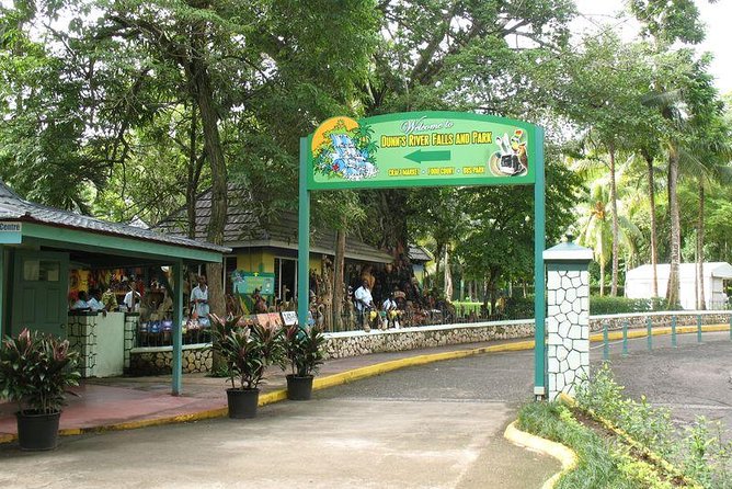 Montego Bay to Dunn's River Falls Half-Day Trip - Who This Tour Is Best For (and Who Should Skip It)