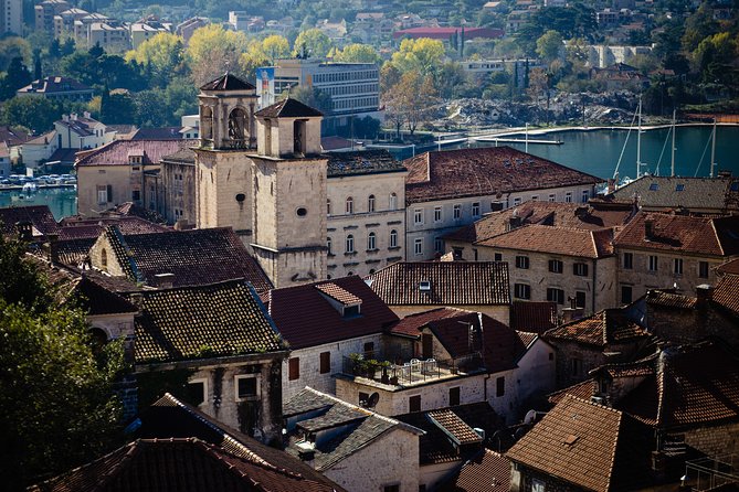 Montenegro Full-Day Trip from Dubrovnik with Optional Boat Trip - Price and value: what your $72.41 buys, plus the extras