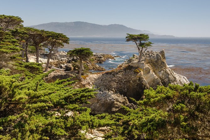 Monterey, Carmel and 17-Mile Drive: Full Day Tour from SF - Monterey and Cannery Row: the best chunk of the day