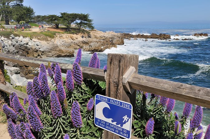 Monterey, Carmel and 17-Mile Drive: Full Day Tour from SF - What’s included—and what you’ll pay out of pocket