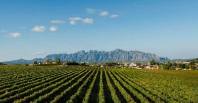 Montserrat & Cava Wineries Day Trip from Barcelona w/ Pickup - Walking Montserrat National Park: the route is yours, but don’t overplan