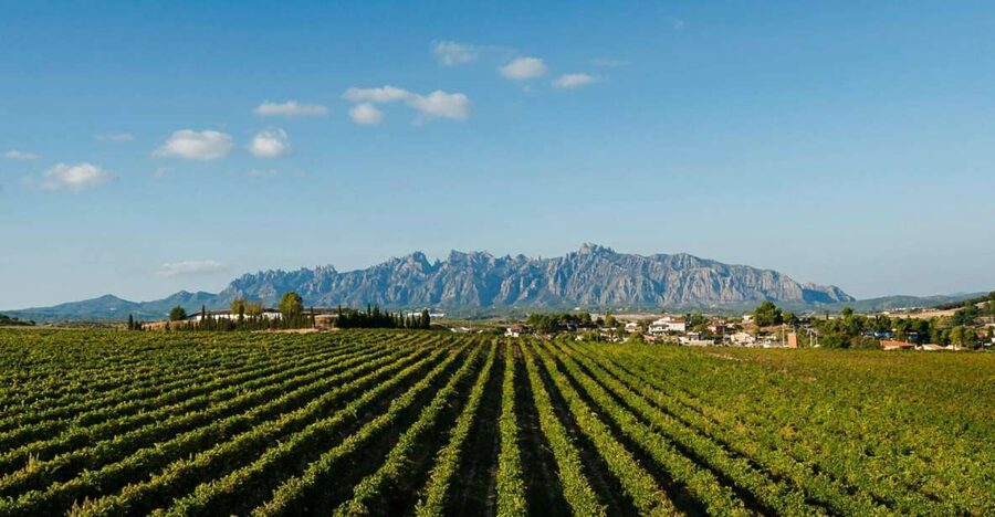 Montserrat & Cava Wineries Day Trip from Barcelona w/ Pickup - Walking Montserrat National Park: the route is yours, but don’t overplan