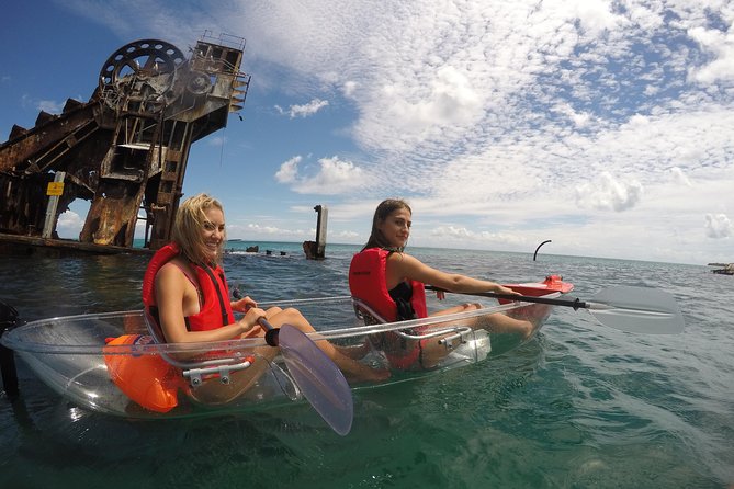 Moreton Island Day Trip (Kayak, Snorkel & Sandboard) frm Brisbane or Gold Coast - The Ferry + Arrival: Spotting Marine Life While You’re Still Fresh