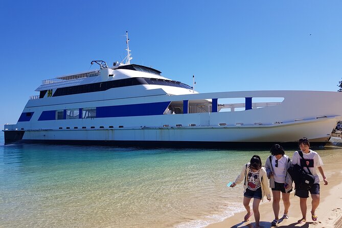Moreton Island Day Trip (Kayak, Snorkel & Sandboard) frm Brisbane or Gold Coast - Time for a Quick Swim: Great If You Catch It