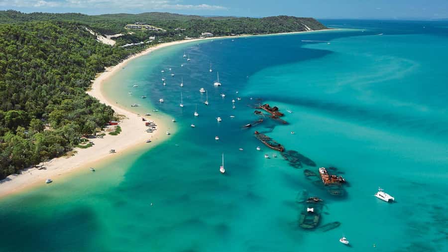 Moreton Island: Tangalooma Day Trip with ATV Quad Bike Tour - Getting back to Brisbane: the 4:00pm ferry is real timing, not a suggestion