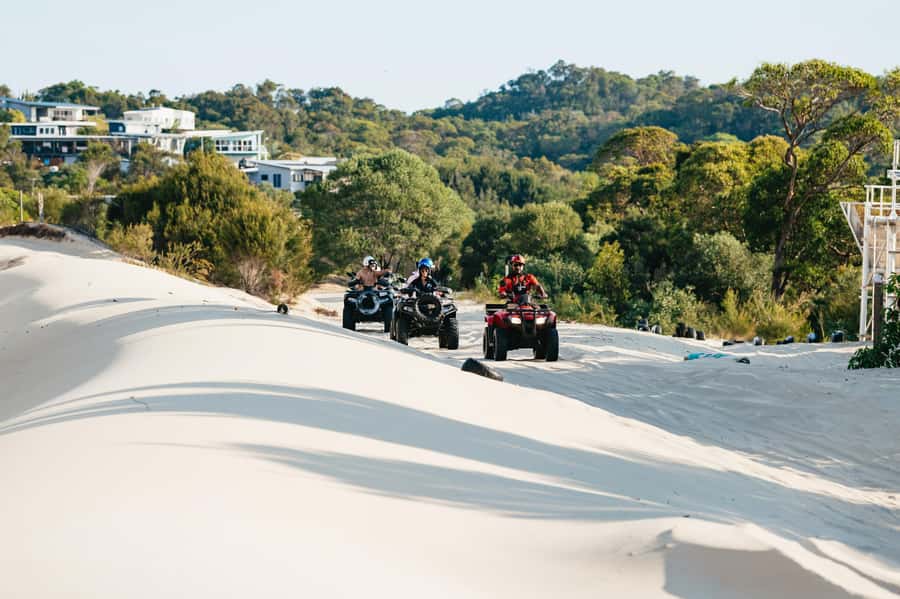 Moreton Island: Tangalooma Day Trip with ATV Quad Bike Tour - Value check: why $119 can work (and when it might not)