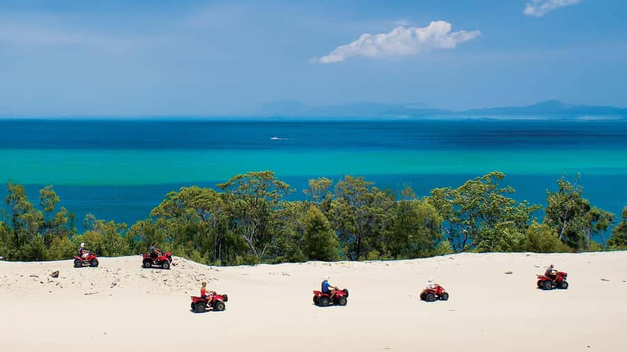 Moreton Island: Tangalooma Day Trip with ATV Quad Bike Tour - Should you book the ATV quad bike day trip to Tangalooma?