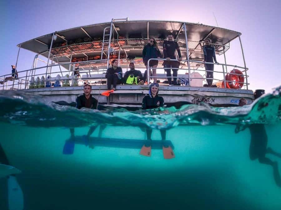 Moreton Island: Tangalooma Day Trip with Snorkeling Tour - Key things to know before you go