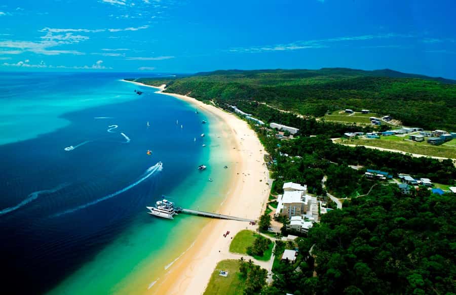 Moreton Island: Tangalooma Day Trip with Snorkeling Tour - Safety and skill levels: beginner-friendly, but still real water