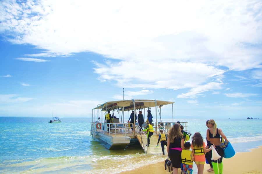Moreton Island: Tangalooma Day Trip with Snorkeling Tour - Eco Centre and dolphins at 3:15pm: a calm ending