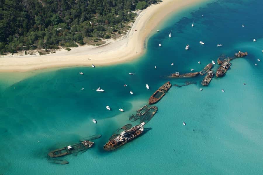 Moreton Island: Tangalooma Day Trip with Snorkeling Tour - Packing and timing tips that actually help