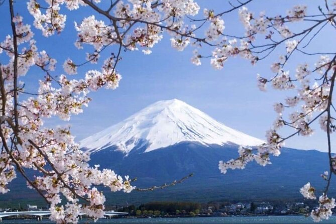 Mount Fuji & Lake Kawaguchi Day Trip with English-speaking Driver - Key things to know before you go