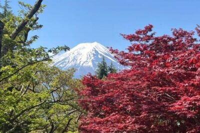 Mount Fuji & Lake Kawaguchi Day Trip with English-speaking Driver - Mt Fuji 5th Station at 2,300 meters: timing, access, and expectations