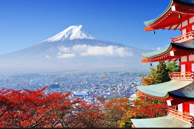 Mount Fuji & Lake Kawaguchi Day Trip with English-speaking Driver - Saiko Iyashi no Sato Nenba: the healing-village style stop (with an extra fee)