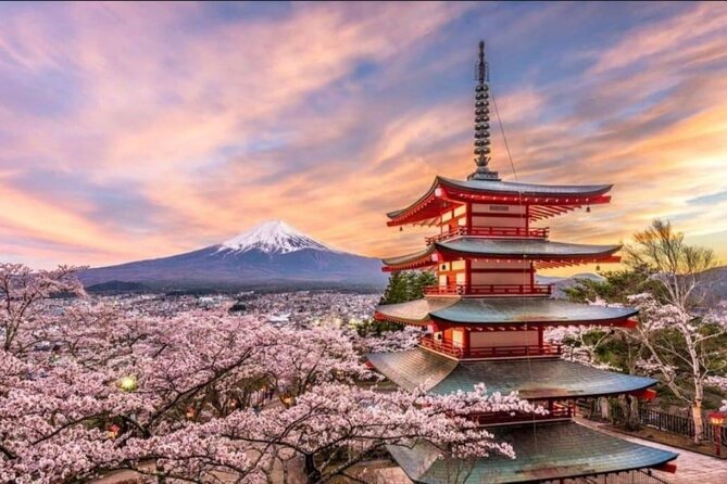 Mount Fuji & Lake Kawaguchi Day Trip with English-speaking Driver - Oshino Hakkai: springs, history, and why it works without perfect clouds
