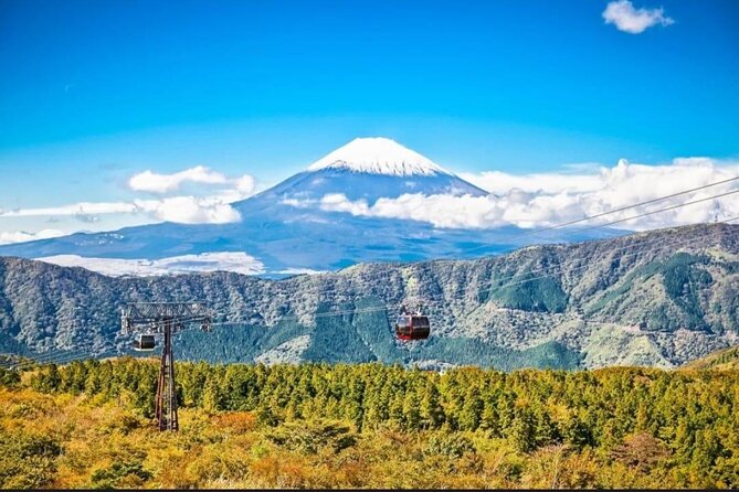 Mount Fuji & Lake Kawaguchi Day Trip with English-speaking Driver - Yamanakako Hananomiyako Park and Gotemba Outlets: flexible payoff at the end