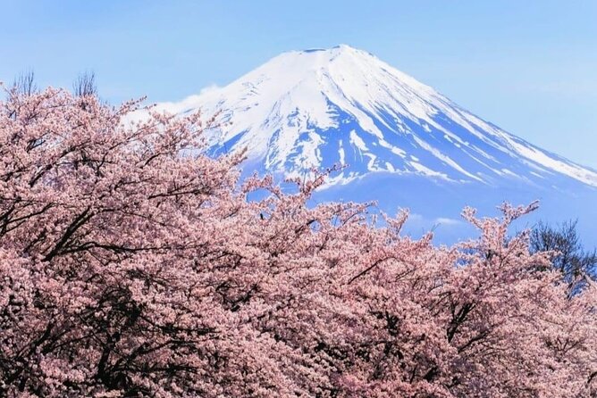 Mount Fuji & Lake Kawaguchi Day Trip with English-speaking Driver - Price and value: how $429 per group can make sense