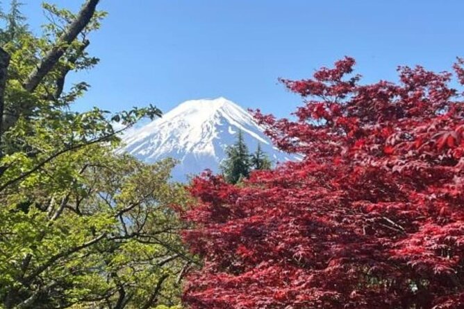 Mount Fuji & Lake Kawaguchi Day Trip with English-speaking Driver - Mt Fuji 5th Station at 2,300 meters: timing, access, and expectations