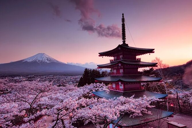 Mount Fuji Private Day Trip with English Speaking Guide - Saiko Iyashi no Sato Nemba: old-style buildings and quiet mountain views