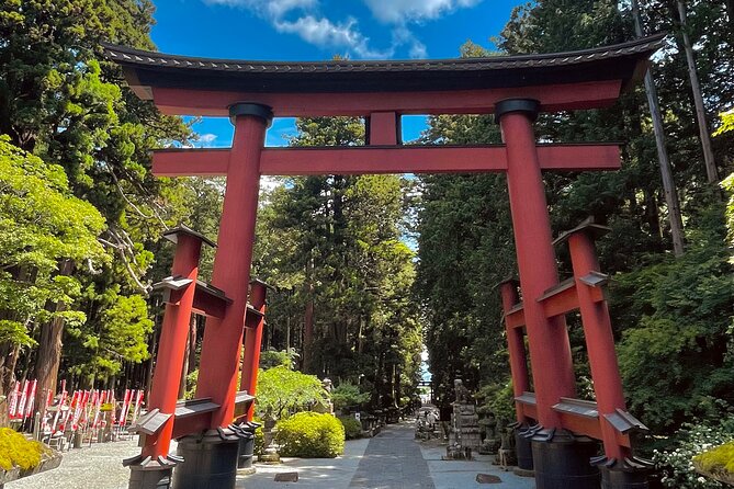 Mount Fuji Private Day Trip with English Speaking Guide - Meeting in Shinjuku and planning the full 10-hour rhythm