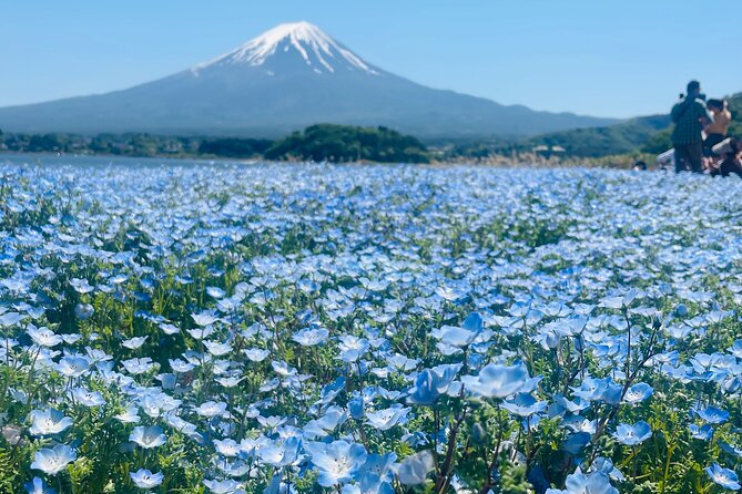 Mount Fuji Private Full Day Tour With Local Guide - Your 10-hour route around the Fuji Five Lakes area