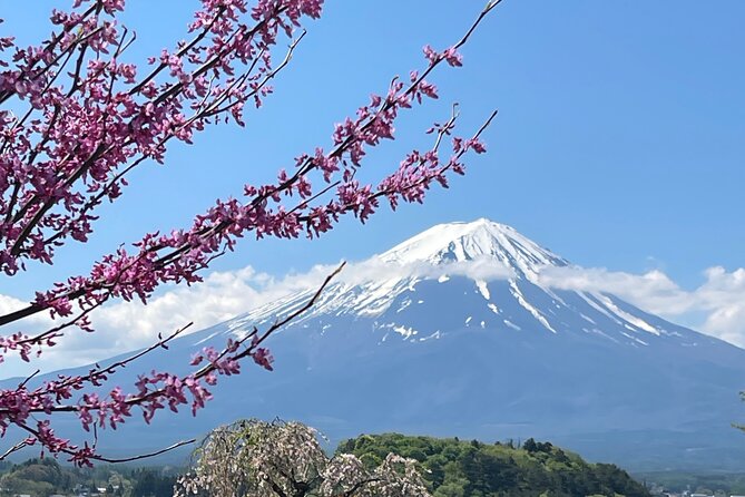 Mount Fuji Private Full Day Tour With Local Guide - Chureito Pagoda: the classic Fuji frame