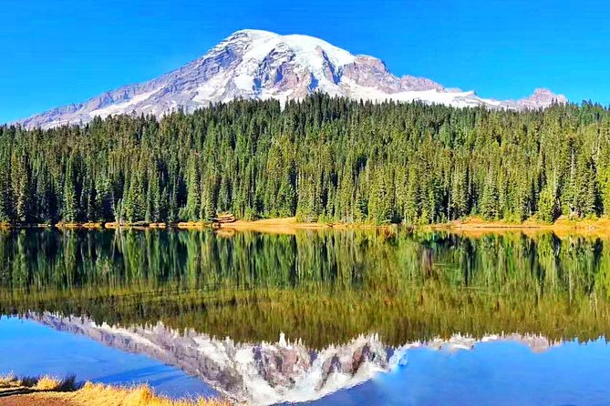 Mount Rainier National Park Day Tour from Seattle - Key Highlights You’ll Actually Care About