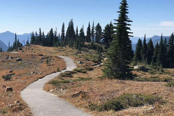 Mount Rainier National Park Day Tour from Seattle - Narada Falls: The Park’s Big Car-Accessible Waterfall