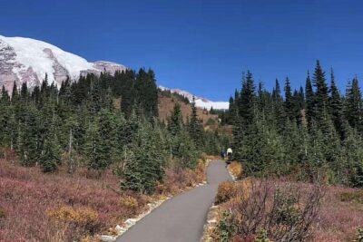 Mount Rainier National Park Day Tour from Seattle - What Makes This Tour Work Without Renting a Car