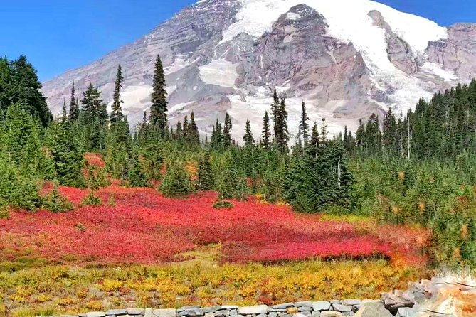 Mount Rainier National Park Day Tour from Seattle - Reflection Lakes: The Mirror Effect Works Only When the Air Behaves