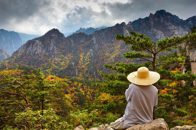 Mount Seorak and Naksansa Temple One Day Tour from Seoul - Key Highlights You’ll Care About