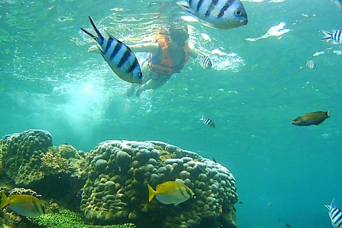 Mr. Tu Day Trip to Angthong Marine Park by Speed Boat from Koh Samui - Crowds, Seating, and the Reality of a 40-Person Day