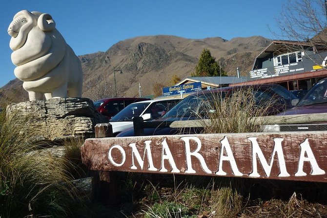 Mt Cook Small Group Scenic Day Tour from Queenstown - Price and value: is $164.45 fair for this day?