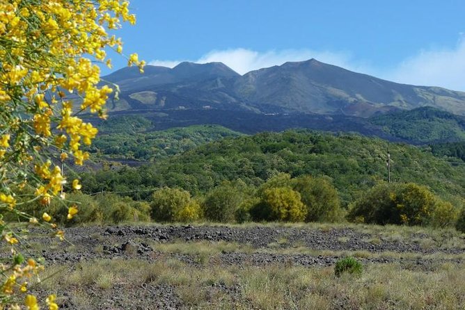 Mt. Etna nature and flavors half day Tour from Catania - Price and value: what $71.35 really buys