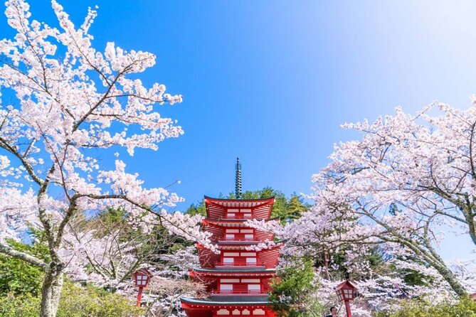 Mt. Fuji 5th, Oshino Hakkai, Onsen Full-Day Trip From Tokyo - Konohananoyu Onsen or Gotemba Outlets: The Real Choice at Stop 4
