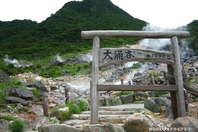 Mt. Fuji and Hakone Day Trip From Tokyo with Bullet Train Option - Hakone Ropeway to Sounzan: fast aerial views with a weather check