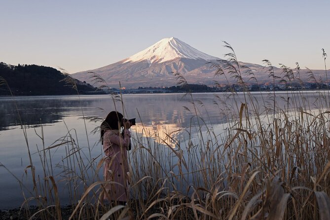 Mt. Fuji and Lake Kawaguchi Day Trip with Private Car - Price and logistics: why a private car can be worth it
