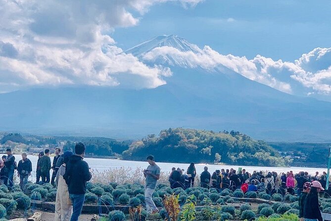 Mt. Fuji Day Trip from Tokyo with English Speaking Driver Guide - Price and What You Actually Get for $497+ (Per Group Up to 7)