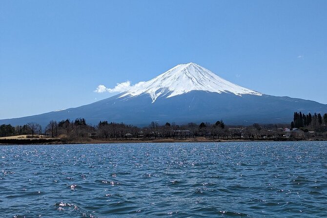 Mt. Fuji Day Trip from Tokyo with English Speaking Driver Guide - Your Day in Motion: The Stop-by-Stop Route (What Each Place Is For)