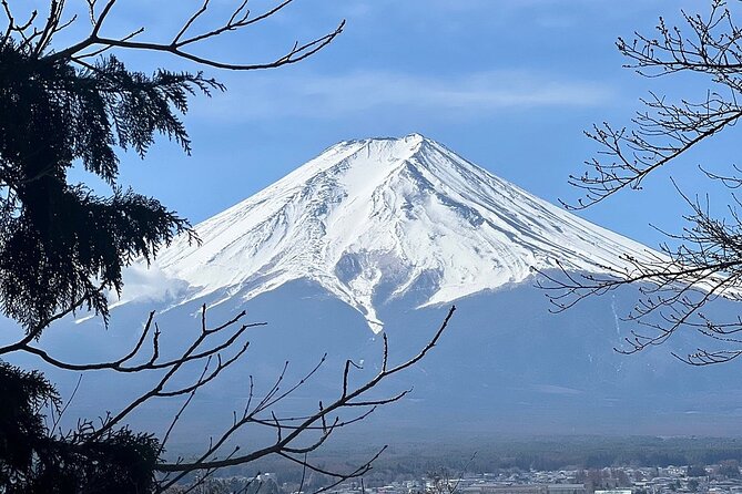 Mt. Fuji Day Trip from Tokyo with English Speaking Driver Guide - Weather: The Big Variable (and How to Work With It)