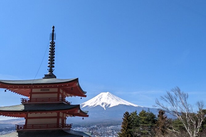 Mt. Fuji Day Trip from Tokyo with English Speaking Driver Guide - The Real Win: Private Van Timing Out of Tokyo