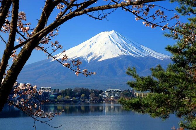 Mt. Fuji & Hakone: Fuji Sengen Shrine, Cruise, and Ramen-Making - Leaving Shinjuku: The Easy Way to Reach Fuji and Hakone