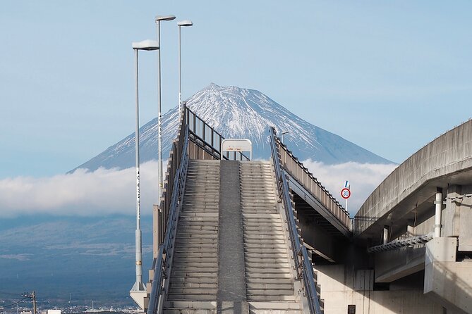 Mt. Fuji Highlight Photo Spots One Day Tour from Tokyo - Why a Mt. Fuji photo tour beats DIY train days