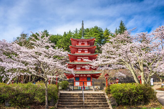 Mt. Fuji Highlight Photo Spots One Day Tour from Tokyo - Oishi Park: flowers as a Fuji background