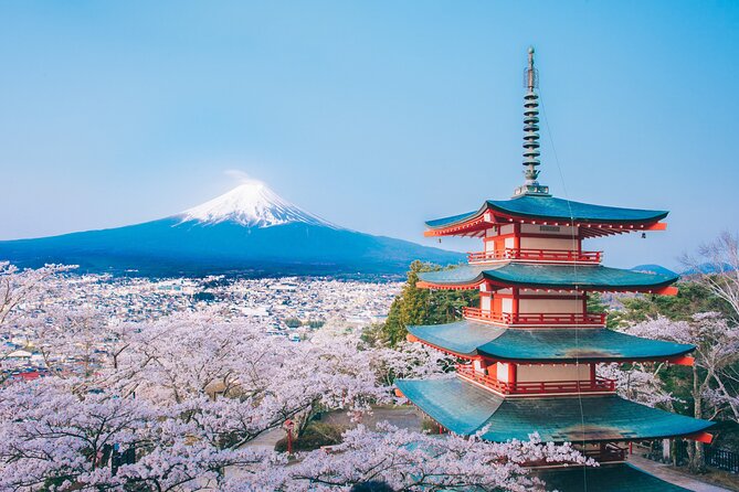 Mt. Fuji Highlight Photo Spots One Day Tour from Tokyo - Shiraito Waterfall: the Fuji circuit with a real payoff