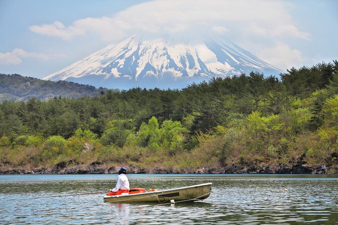 Mt. Fuji Highlight Photo Spots One Day Tour from Tokyo - Obuchi Sasaba tea fields and the postcard-style Fuji approach