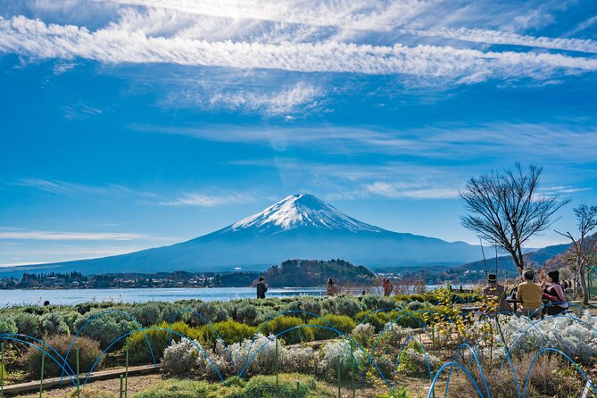 Mt. Fuji Highlight Photo Spots One Day Tour from Tokyo - Guides, group size, and keeping your day from getting messy