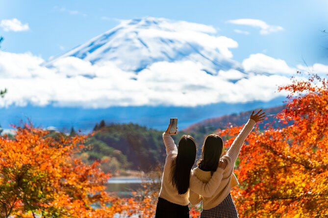 Mt. Fuji Highlight Photo Spots One Day Tour from Tokyo - Arakurayama Sengen Park and the Chureito Pagoda view