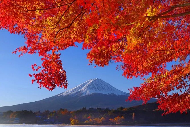 Mt Fuji Private Day Trip from Tokyo with English Speaking Driver - Why a private Fuji day trip feels less stressful than planning solo