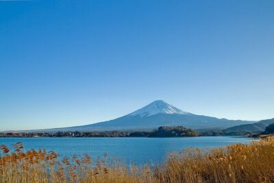 Mt Fuji Private Day Trip from Tokyo with English speaking driver - Pickup in Tokyo: The Part You Should Take Seriously